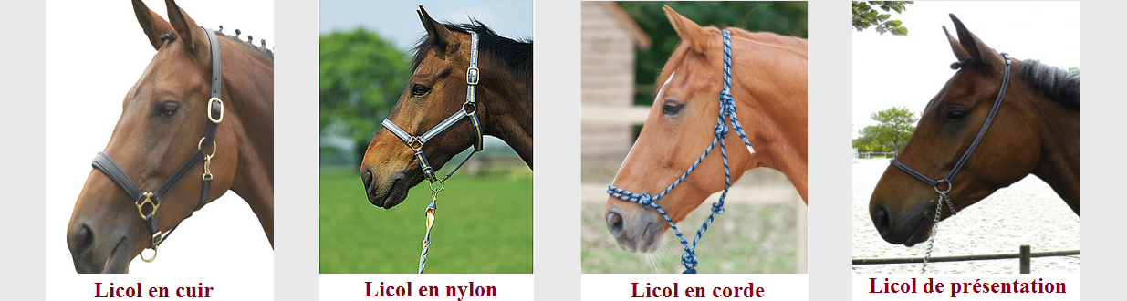 licols