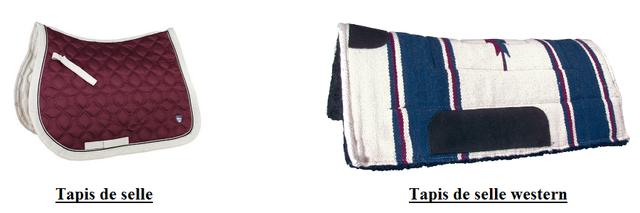 tapis